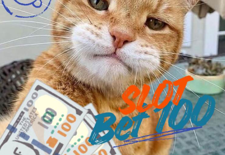 Cara Menentukan Pola Bermain Slot Bet 100 Lebih Optimal
